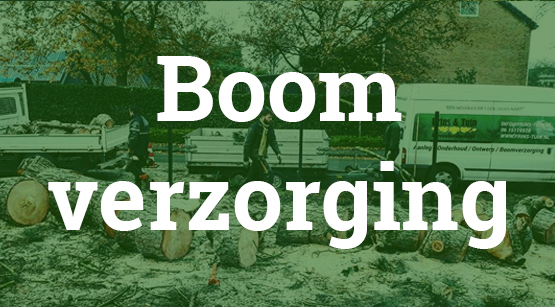 Boom verzorging Hoogezand